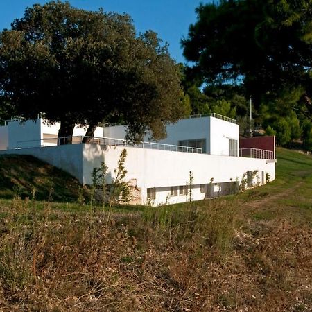 Villa Zagare Mattinata Eksteriør billede